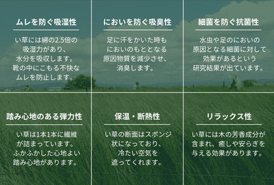 ＜Liberato＞4Way榻榻米樂福鞋 男款/深棕色