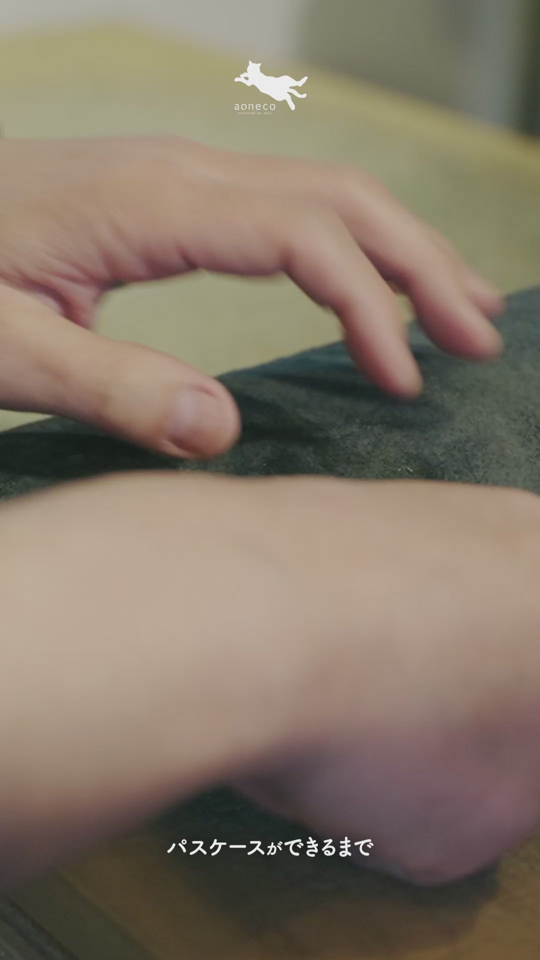 ＜aoneco＞通行證套附自動伸縮繩/葉綠色